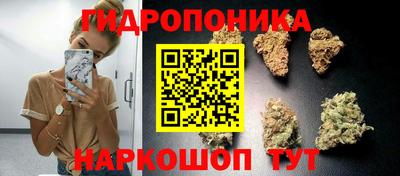 ешки Новозыбков