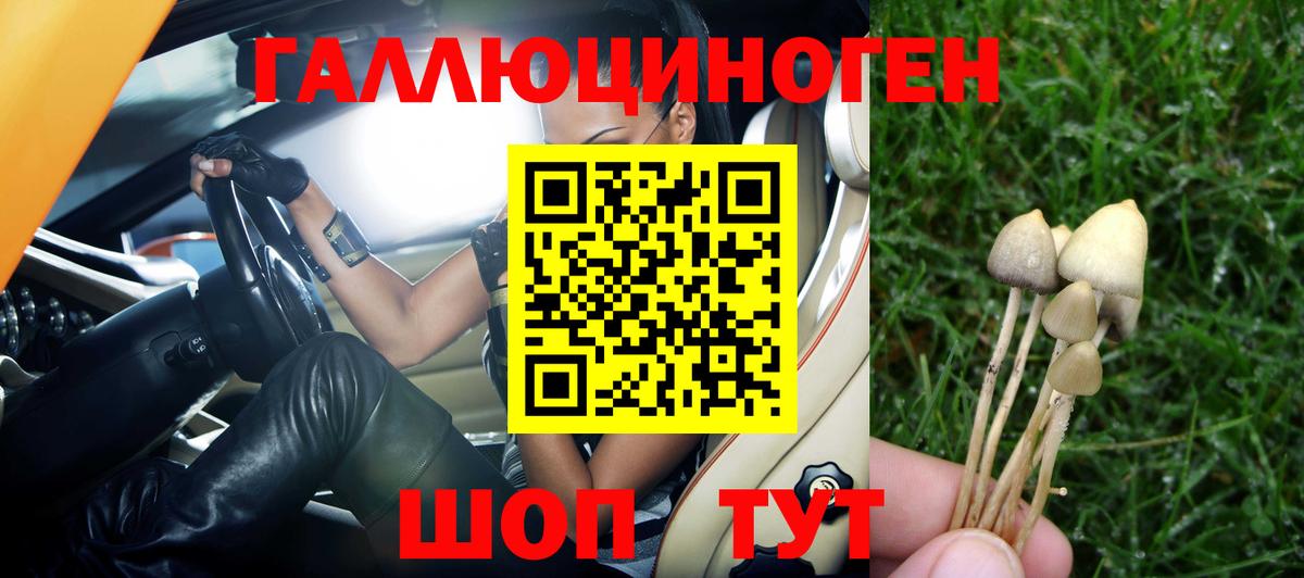 Галлюциногенные грибы Psilocybe  Вход с VPN  Лобня 